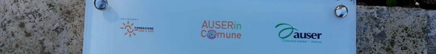 Auser in Comune