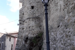 calvello_c29