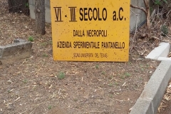 pantanello9